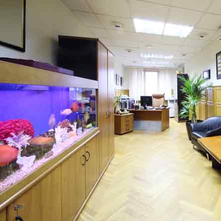 Freshwater Fish Tank Cleaning Services For Professional Offices In The GTA